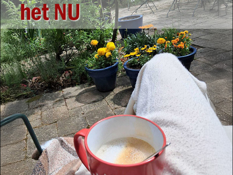 Leven in het NU - Persoonlijke Ontwikkeling, Bewustzijnsontwikkeling, Mindfulness