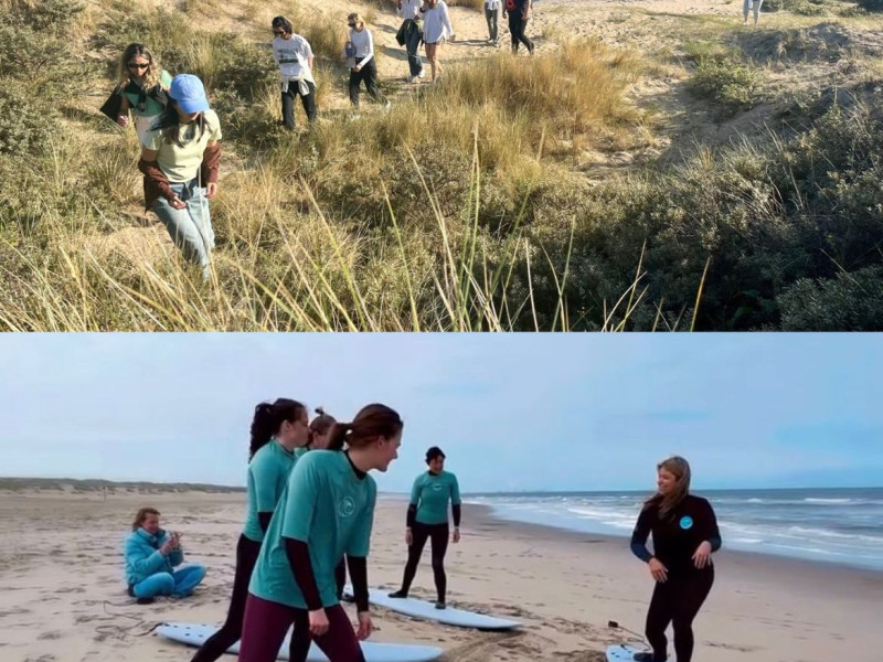 Surf & Wildplukken