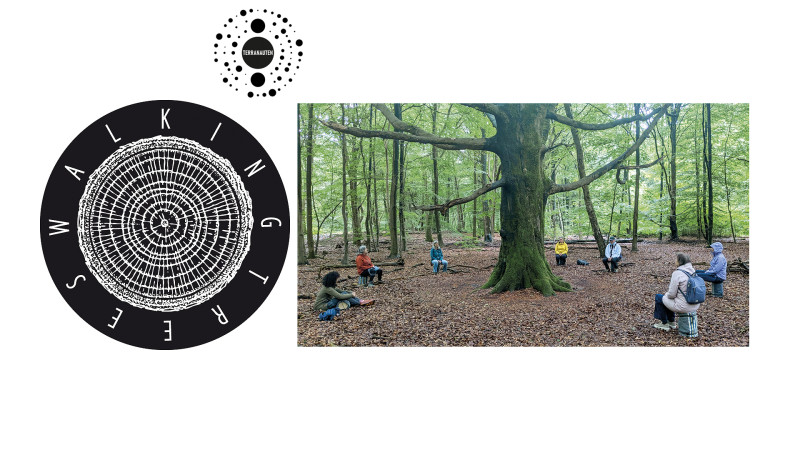 WALKING TREES - stilte expeditie