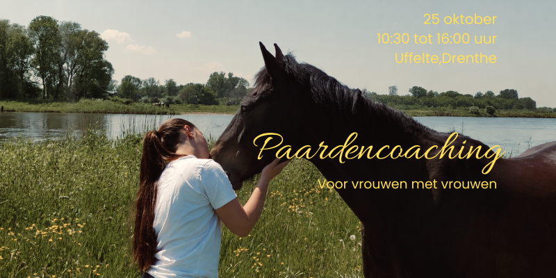 paarden coaching dag voor vrouwen