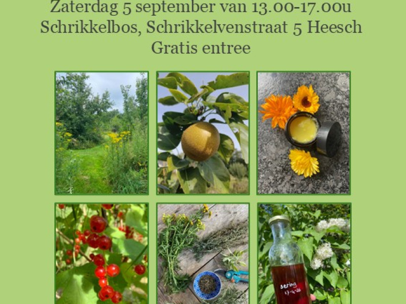 Open Voedselbossendag & Oogstfeest