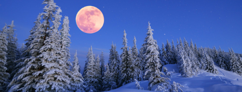 volle maan dec - De lange sneeuw