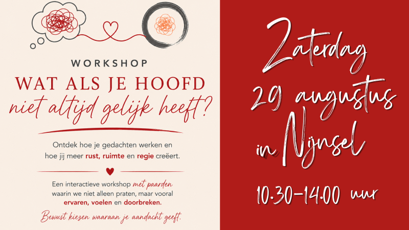 Wat als je hoofd niet altijd gelijk heeft.... - Bewustzijnsontwikkeling, Persoonlijke Ontwikkeling, Paarden