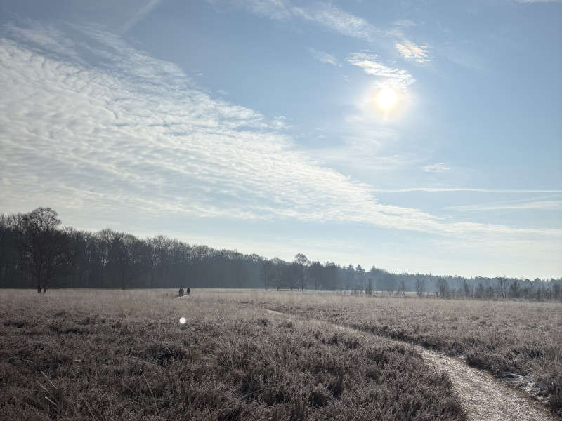 Sundag in ‘t bos, wandelend naar vertraging en verbinding in de natuur