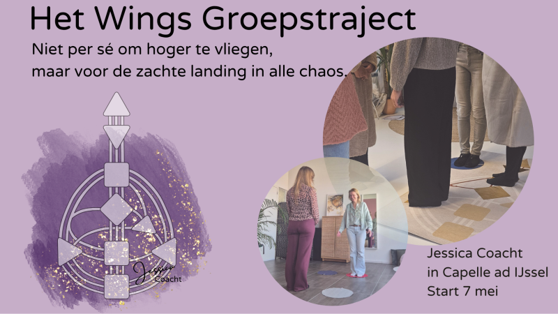 Het Wings Groepstraject - Human Design, Systemic Work, Family Constellations