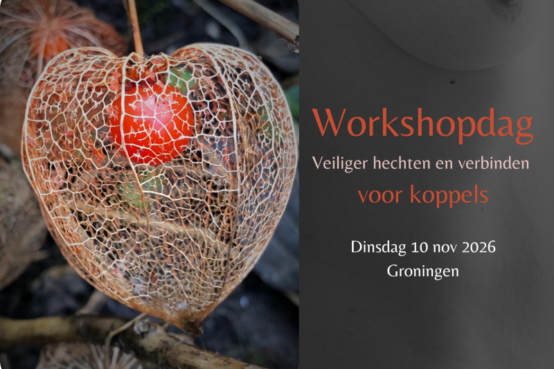 Herfstworkshop voor koppels: Veiliger Hechten & Verbinden