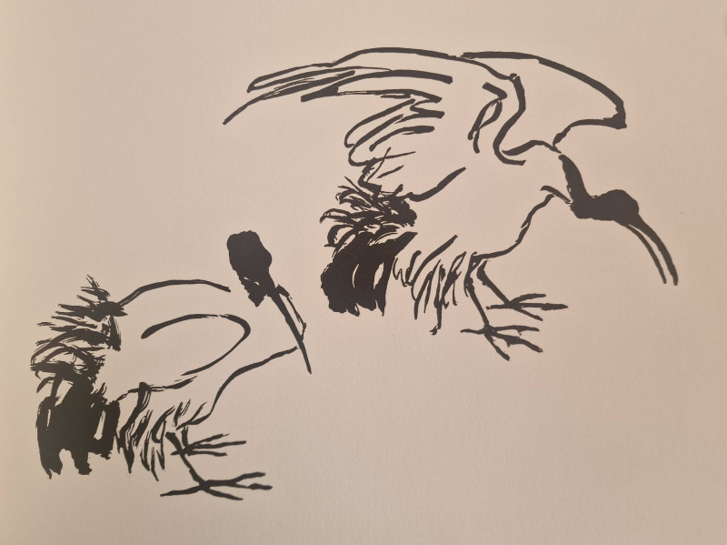 ATLR X Animals