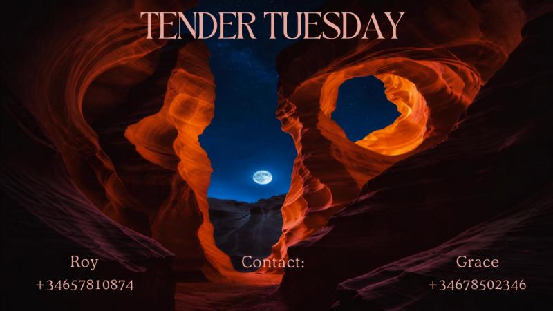 Tender Tuesday
