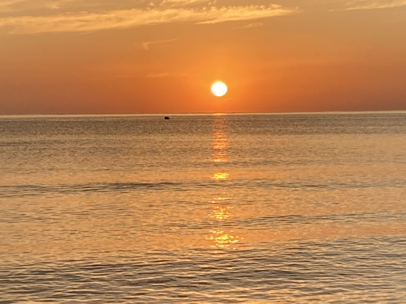 BREATHE INTO DEEP REST - Myo-Yin, Breathwork en Nidra Tonic - Ademwerk, Yoga, Overige Workshops