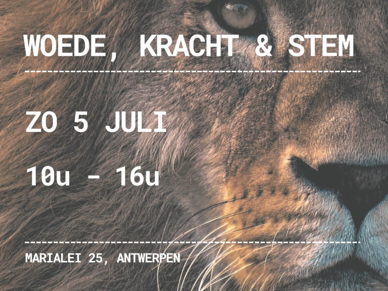WOEDE, KRACHT & STEM - Workshop Stembevrijding