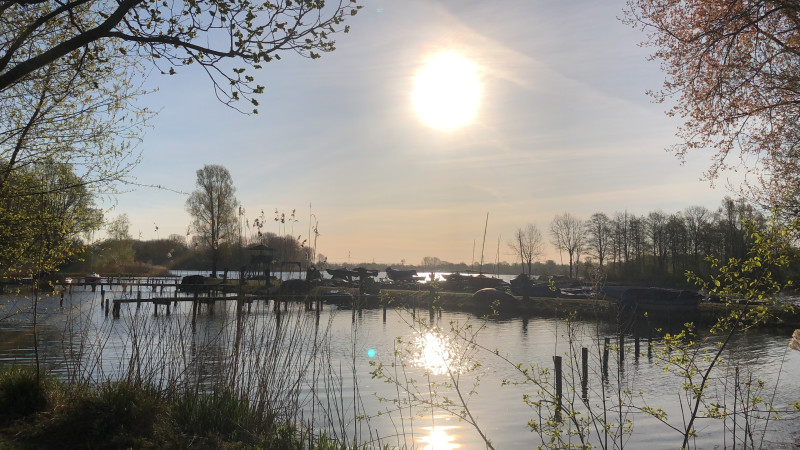Gaasperplas morning Swim & Yoga