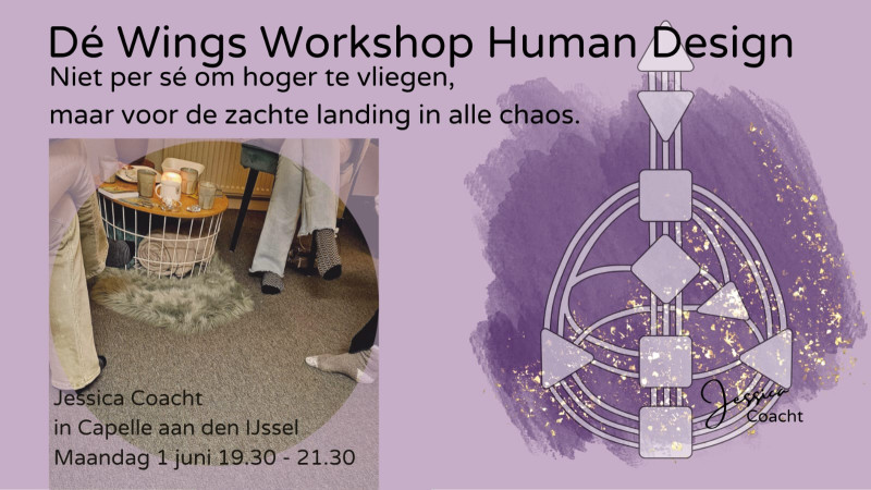 Dé Wings Workshop Human Design - Human Design, Family Constellations, Women's Workshops
