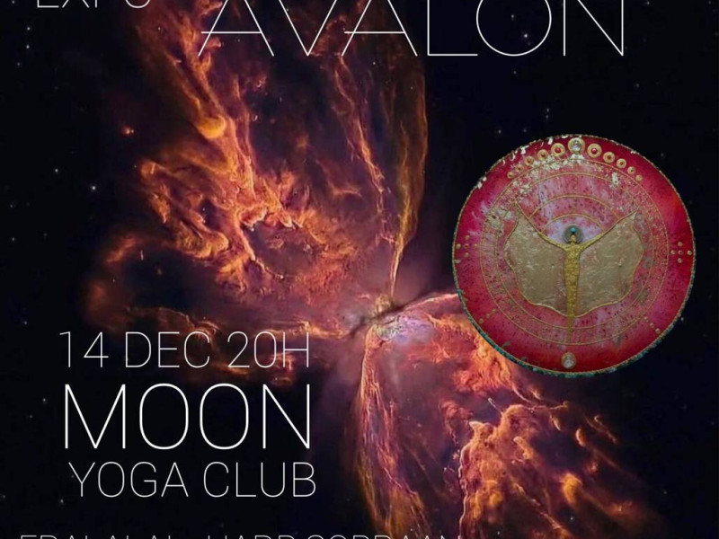 AVIANS SOUNDS - Live muziek, Klankreis, Belevingslezingen