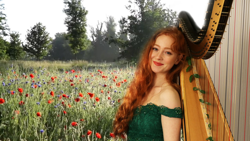 EINAUDI Zomeravondconcert (Harp) - ZEIST - Muziekavond, Live muziek, Optreden