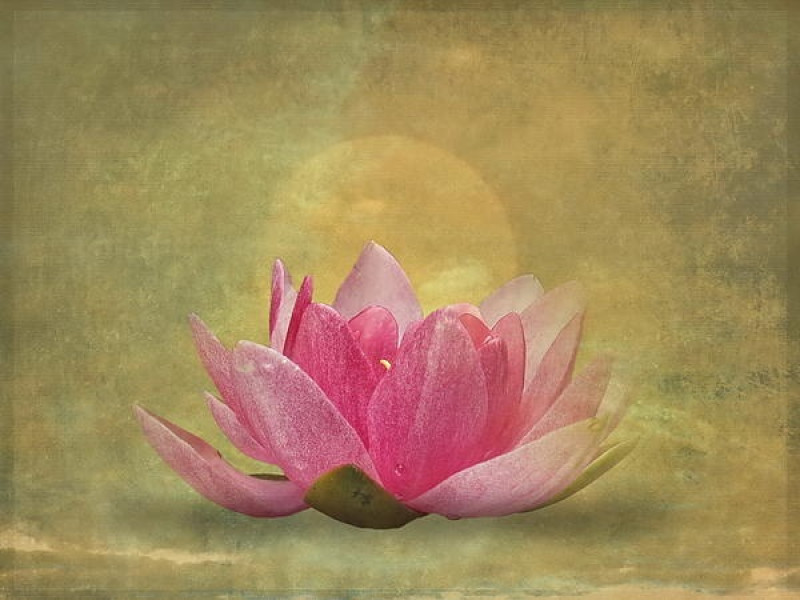Tantrische Magische Dag