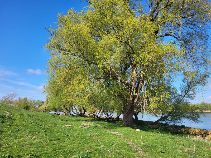 Natuurcirkel 23 oktober