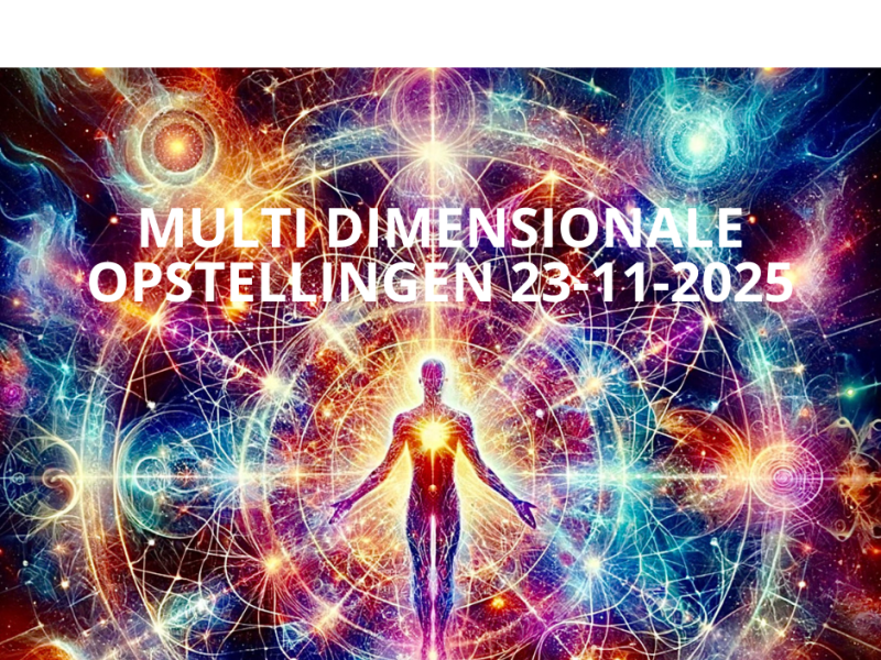 Multidimensionale opstellingendag