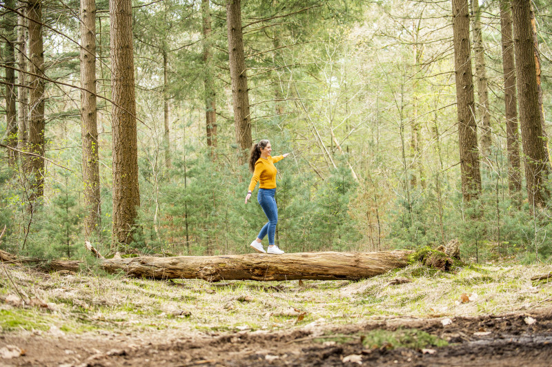 Stilte wandeling
