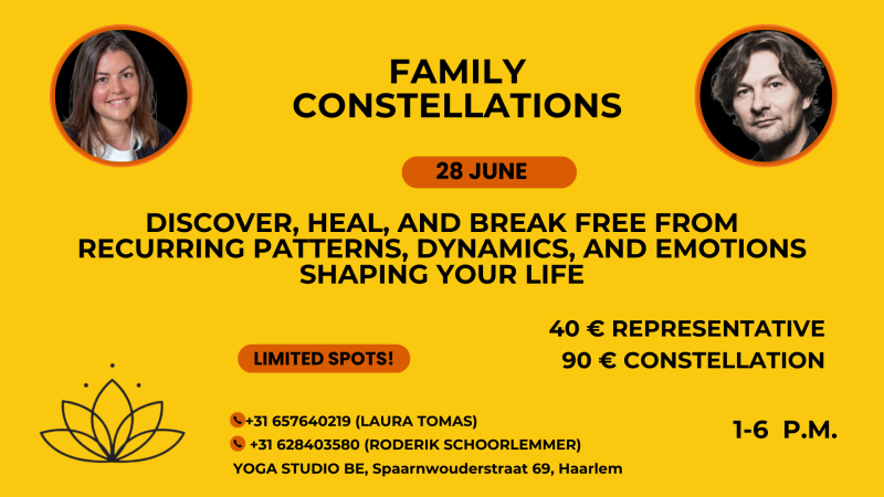 Familie Opstellingen / Family Constellations - Familieopstellingen, Systemisch werk