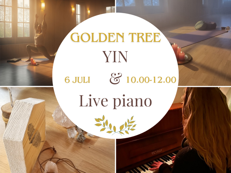 YIN & Live piano - Yoga, Ligconcert