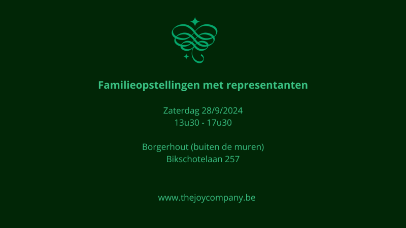 Familieopstellingen met representanten