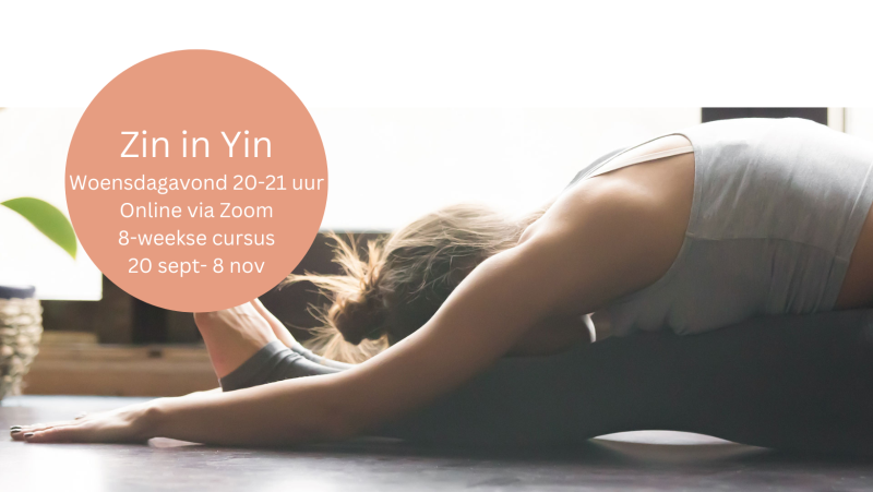 Zin in Yin - Yoga, Meditatie, Mindfulness