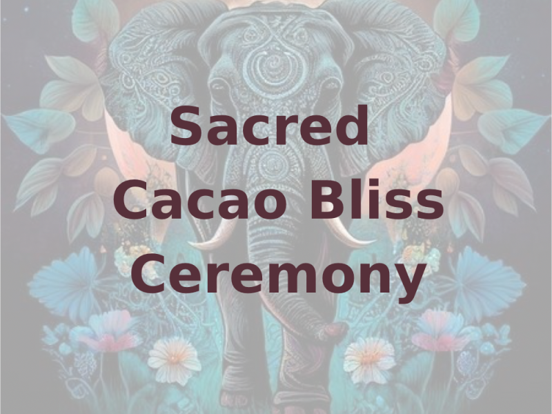 ✨💫Cacao Bliss Ceremony💫