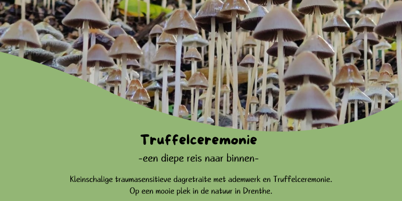 Truffelceremonie dagretraite - met body and breathwork