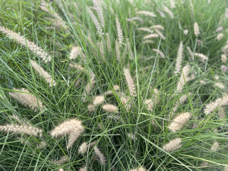 Nieuwe Maan, Movement & Breathwork