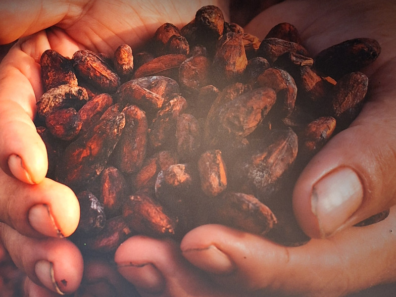 Cacaoceremonie tasting - Cacao Ceremony