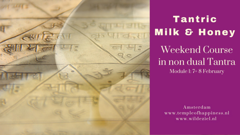 Tantric Milk & Honey: Tantra course | Module 1