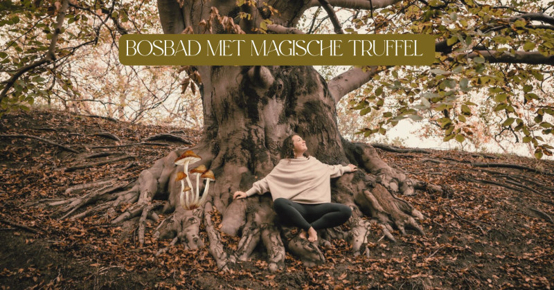 Bosbad met magische truffel - Baño de bosque - Shinrin Yoku