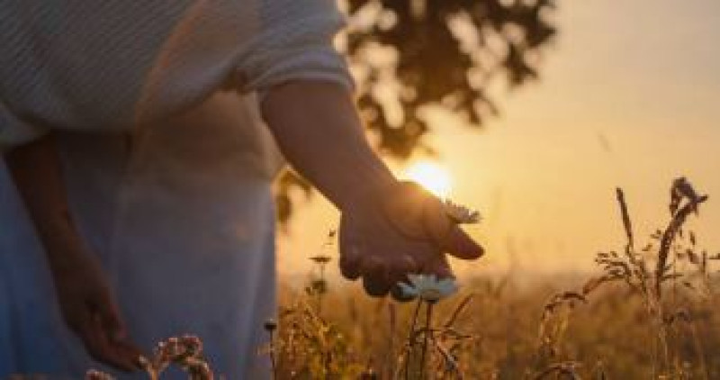 Body, Mind en Soul Verbindingsdiner