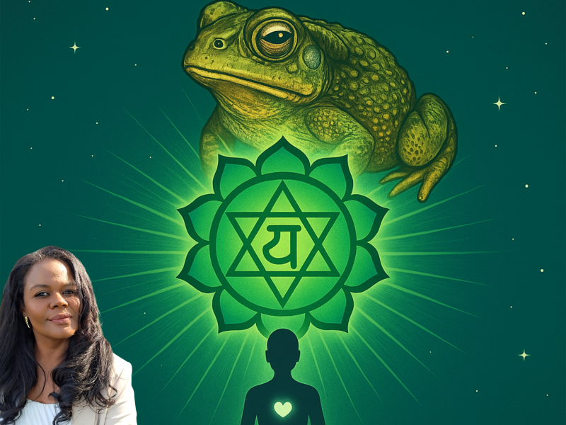 Bufo Retreat 2 dagen