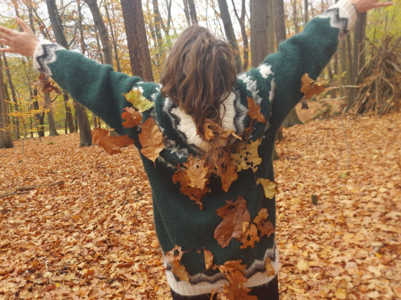 🍁Release