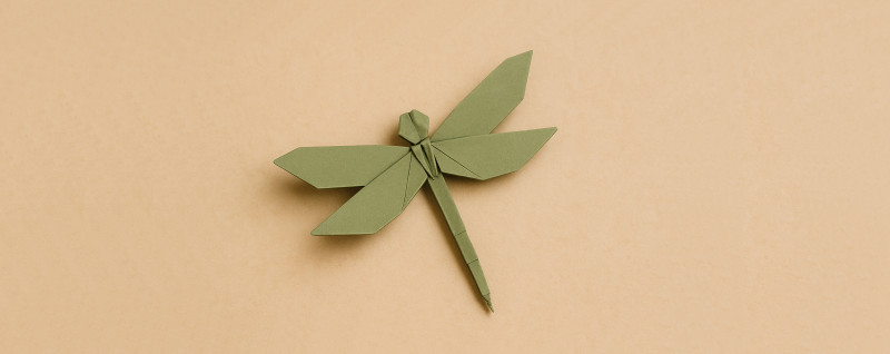 Unfolding the Self