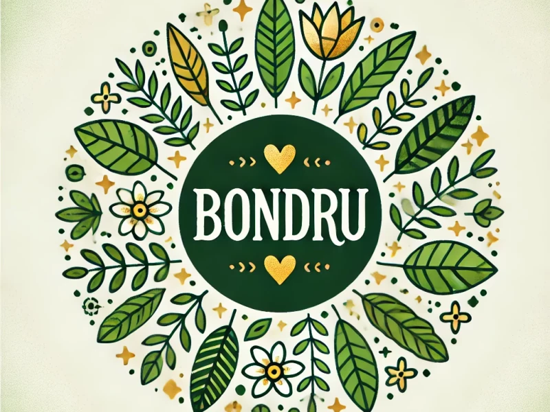 BONDRU: 'ELEMENTAL GATHERING' verbinden met de elementen