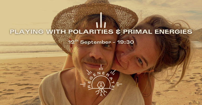 (Dit evenement is geannuleerd) - Playing with Polarities