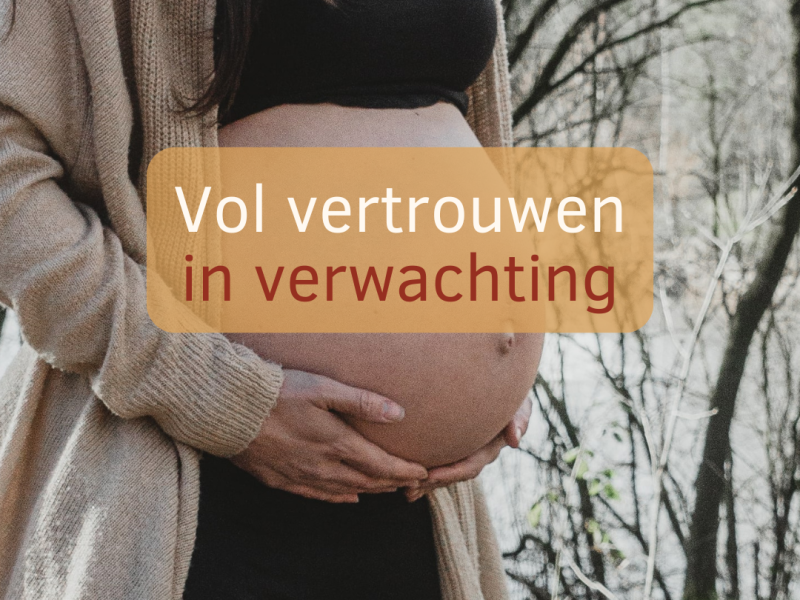 Zwangerschapscursus Vol vertrouwen in verwachting | Proefles 7 sept