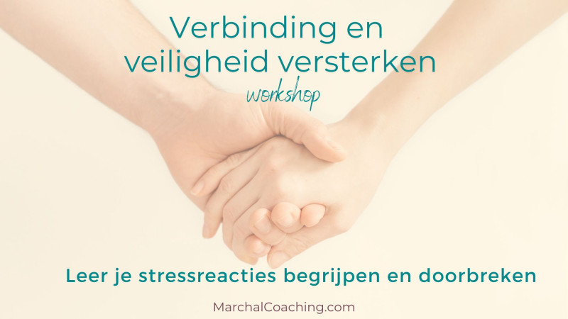 Verbinding en veiligheid versterken - Leer je stressreacties begrijpen