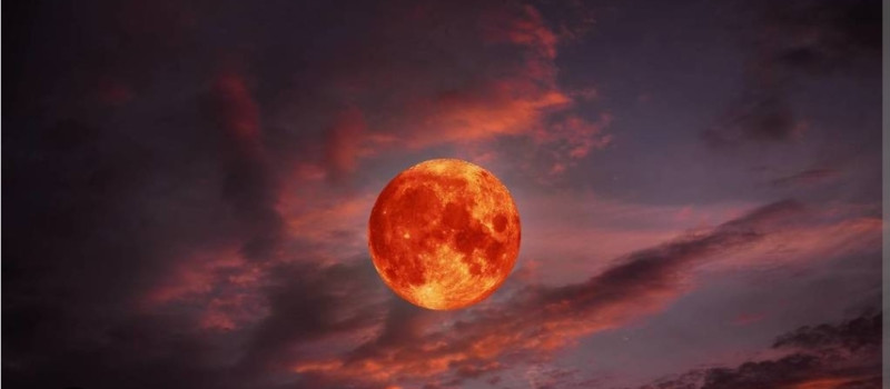 🌕 Bloedmaan Ceremonie 🌕  - Luna llena, Ritual, Rueda Medicinal