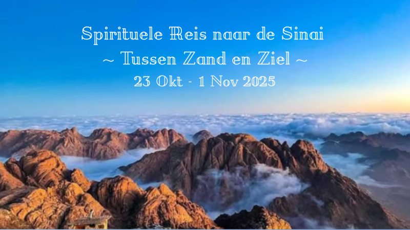 Spirituele Reis naar de Sinai Woestijn | Tussen Zand en Ziel :)