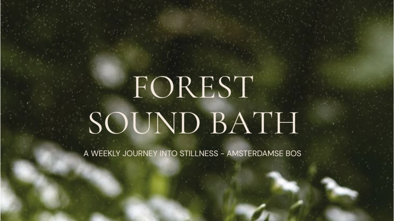 Forest Sound Bath @Amsterdamse Bos  - Sound Bath, Sound Journey, Singing Bowls