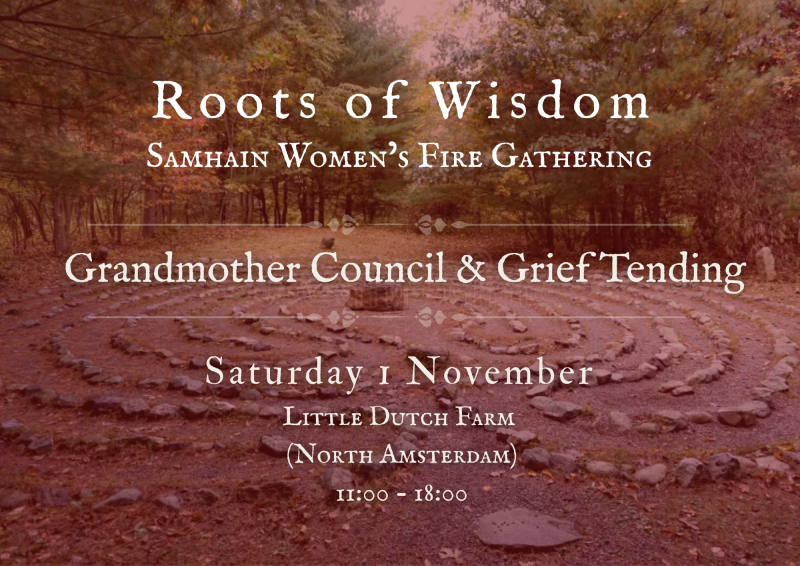 The Roots of Wisdom
