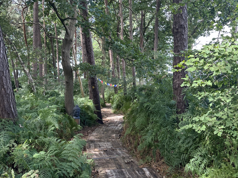 Stilte wandeling - Wandelen, Bewustzijnsontwikkeling, Lichaamsbewustzijn