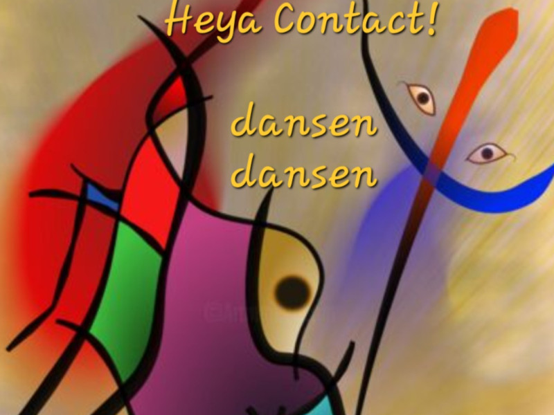 Contactdans dansen in Verbinding Bergen NH 