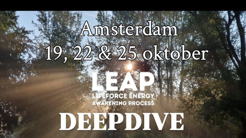 *LEAP DEEPDIVE*     3 sessies in één week (kundalini activatie)