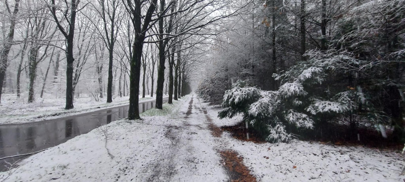 Winter bosbad