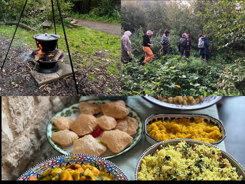 Wildplukwandeling en Ayurvedisch koken