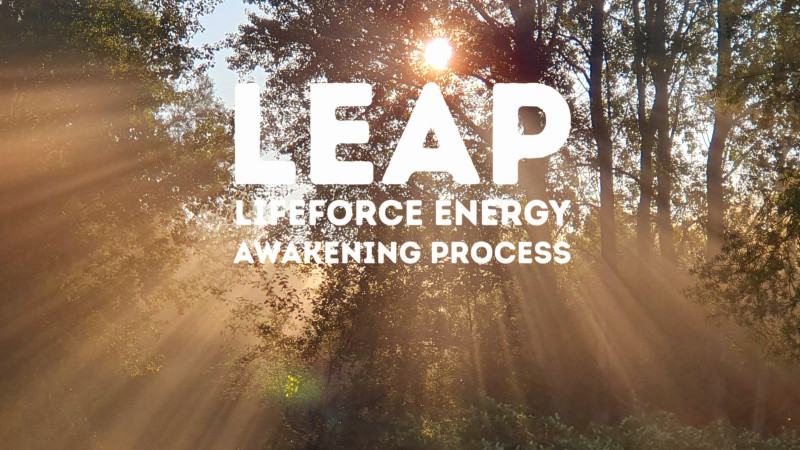 LEAP with Janneke
